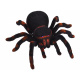 Tarantula remote control RC0251