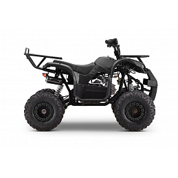 Gasoline Quad Vehicle WILDPEAK 110cc Black
