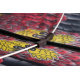 Aga Giant Dragon Eagle 160cm + cord