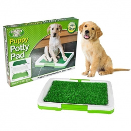 ARTIFICIAL GRASS FOR DOGS