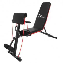 F6C1 ADJUSTABLE WORKOUT BENCH       PREACHER CURL