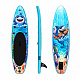 Aga Children's Paddleboard DS2215 250x60x10 cm