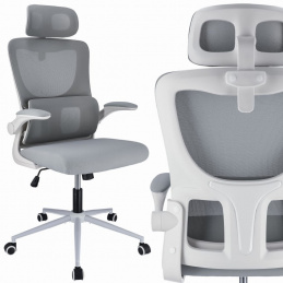 Ergonomic Office Chair ZEO - Gray