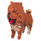 Set of 800 Blocks. Chow Chow