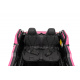 Buggy RTR Monster Speed 4x4 Pink