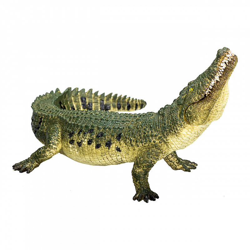 Mojo Animal Planet Crocodile with Articulated Jaw 6DZ081 - II. QUALITY