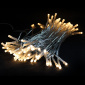 Linder Exclusiv Christmas Chain 100 LED Warm White
