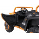 Buggy Arctic Cat Gold