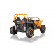 Buggy Arctic Cat Gold