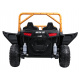 Arctic Cat Buggy Green