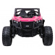 Buggy RTR Monster Speed 4x4 Pink