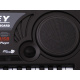 Organ with microphone MQ-809 USB IN0029