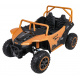 Buggy Arctic Cat Gold
