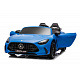 Mercedes Benz GT63 AMG Blue Vehicle