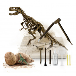 Aga4Kids Set for Little Paleontologists T-Rex
