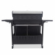Aga Gas Grill DS1921