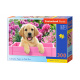 CASTORLAND Puzzle 300 pieces - Labrador Puppy