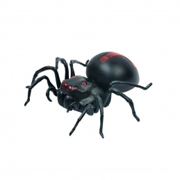 A13A EDUCATIONAL SPIDER FOR SALT WATER