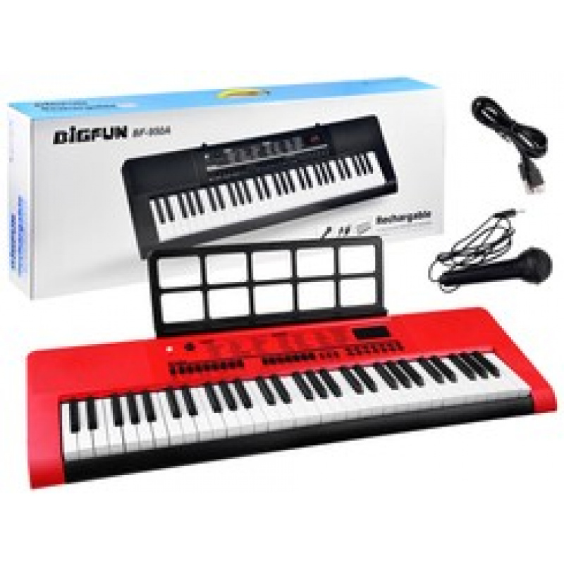 Organ with microphone 61 keys IN0140