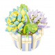 Flower Dice Set 306pcs.
