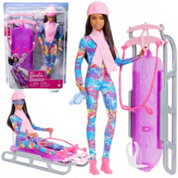 Mattel Barbie You Can Be Anything Winter Doll + Sled ZA6033 Universal