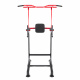 Aga Multifunctional Pull-Up Bar DS664
