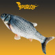 Toy for cats - ISO fish