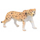 Set of 18 animals. Safari