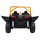 Buggy Arctic Cat Gold