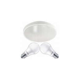 LED ceiling light 2x E27 + 2x Philips bulb E27 10W 1055lm