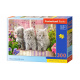 CASTORLAND Puzzle 300 pieces - Three grey kittens