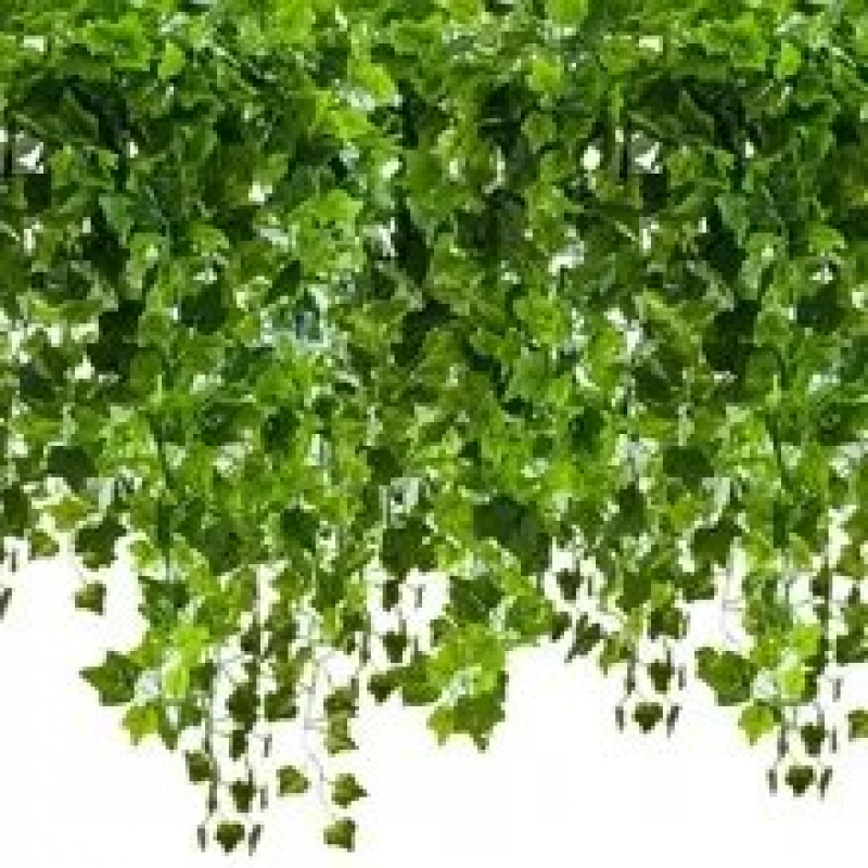 Hanging artificial ivy 50,4 m Gardlov 19737
