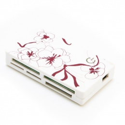 K206 ALL IN ONE MINI CF READER