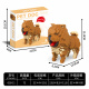 Set of 800 Blocks. Chow Chow