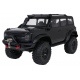 R/C Car WILDERNESS 1:10 Black