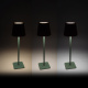Aga LED Desk Lamp DS2408 Green