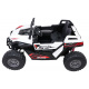 Buggy RTR Monster Speed 4x4 White Vehicle