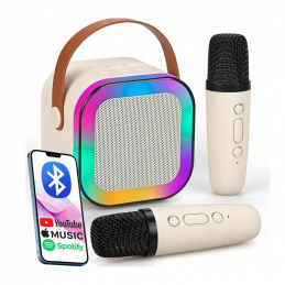 Q17D KARAOKE SET 2 MICROPHONES AND SPEAKER