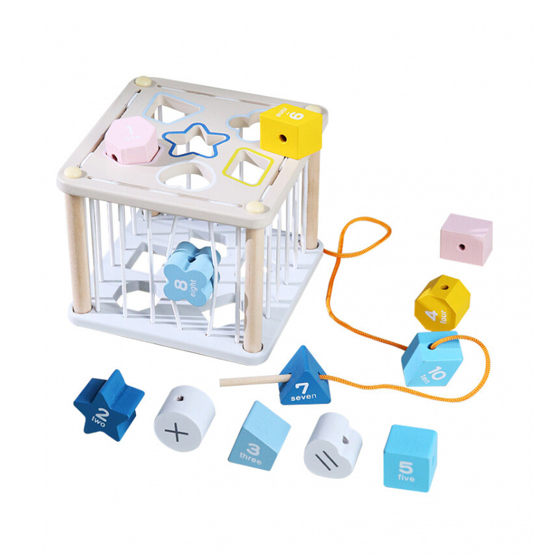 Aga4Kids Wooden Insert Motor Skills Cube