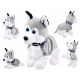 Interactive dog Husky ZA1333
