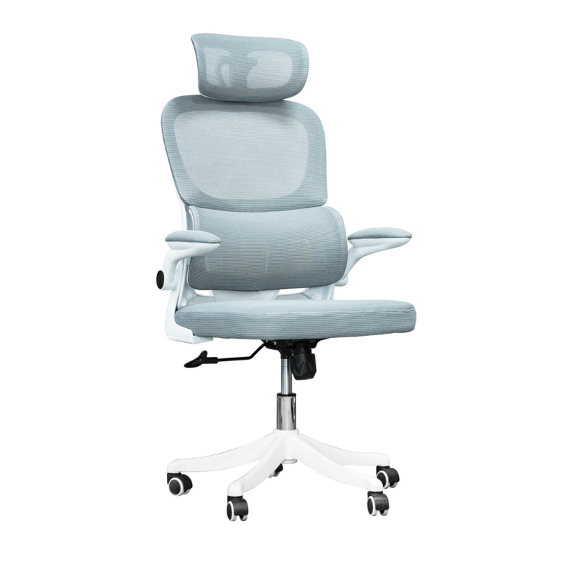 Aga Office Ergonomic Chair MR2083