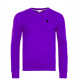 U.S. Polo Assn Sweater V-Neck Purple