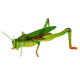 insect 3D puzzle ZA0229