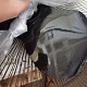 Aga Pedestal Fan 43 cm Black 6DAZ501 - SECOND QUALITY