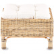Aga Rattan armchair CONSUL RATTAN