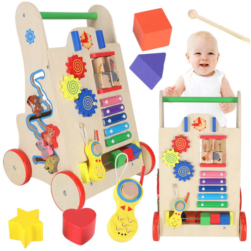 Aga Wooden Educational Walker 6in1