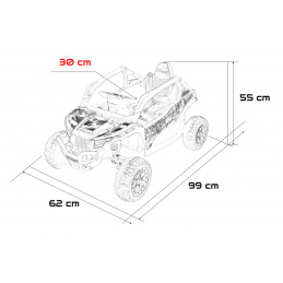 Kawasaki KRX1000 Buggy Blue Vehicle
