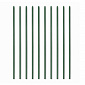 Aga Plant Support Rod 180 cm 10pcs