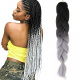 Hair Cane synthetic hair Ombre grey ISO