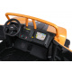 Buggy Arctic Cat Gold